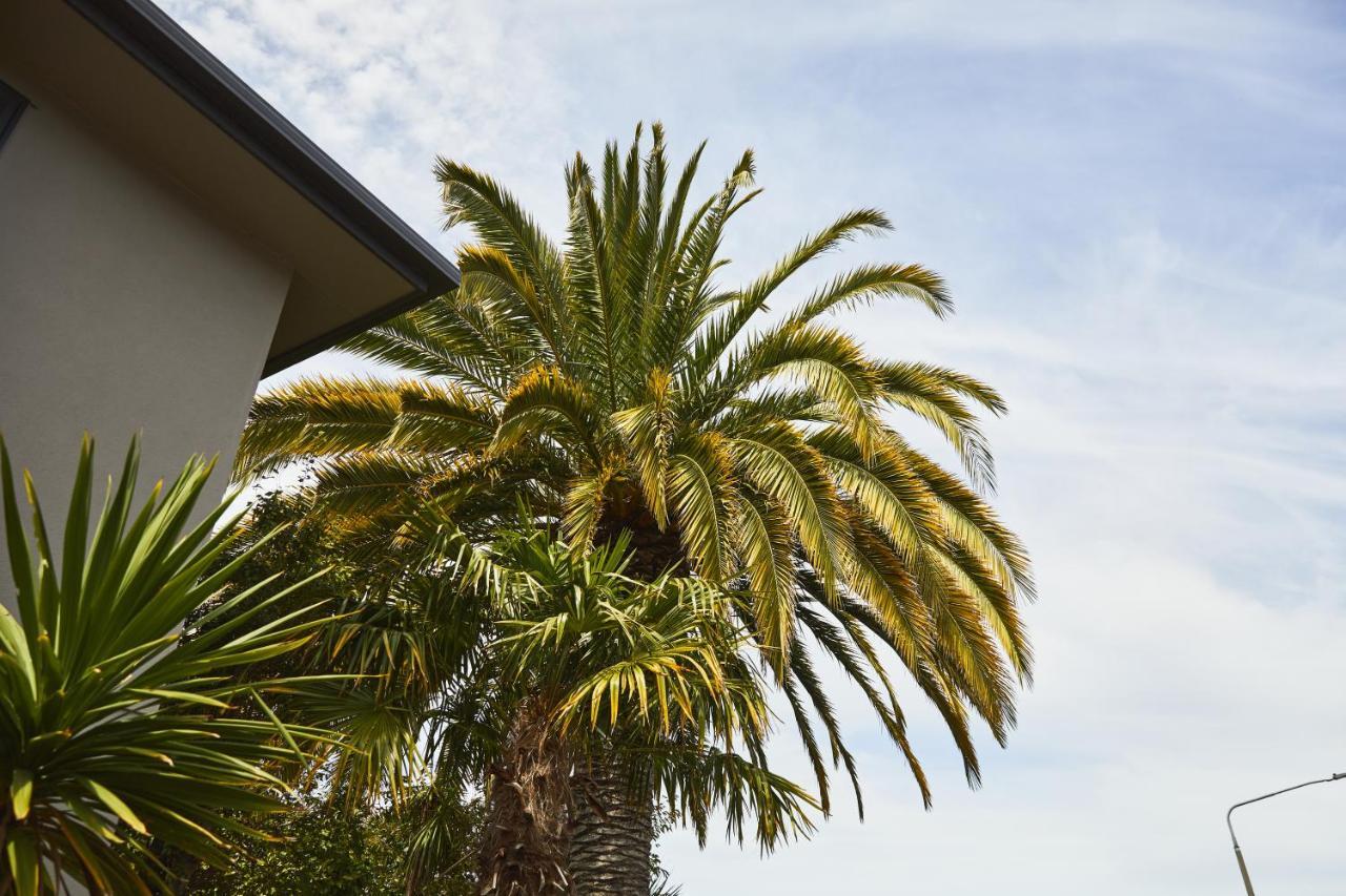 Blenheim Palms Motel Ngoại thất bức ảnh
